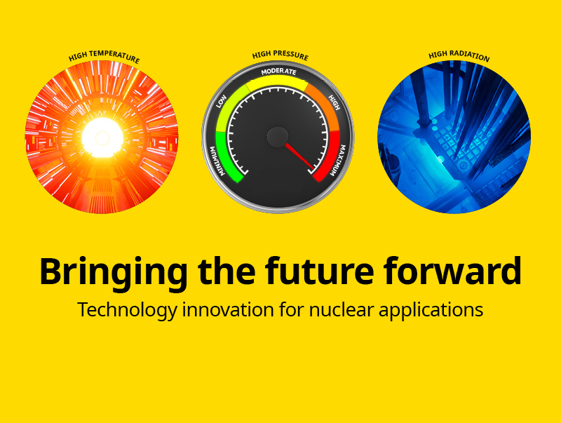 Nuclear Measurement and Control Innovation: 'Bringing the Future Forward'